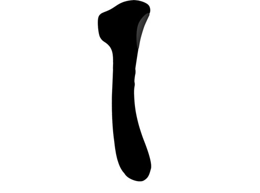 Le vibromasseur qui stimule le clitoris avec de la pulsation d'air pour doubler les sensations de plaisir
